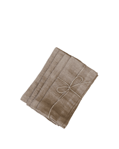 Cloth Napkin set of 4