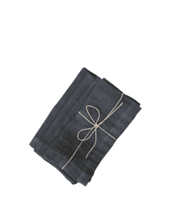 Cloth Napkin set of 4