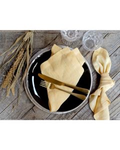 Cloth Napkin in linen set of 4