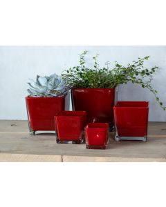 Regular Cubic Vase red 6x6x6cm
