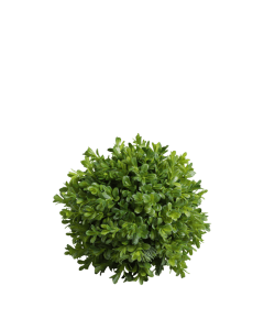 Fleur Boxwood Ball