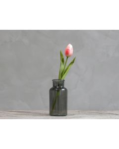 Fleur Tulip