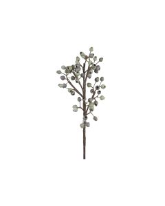 Fleur Branch w. seed pods