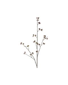 Fleur Branch w. seed pods
