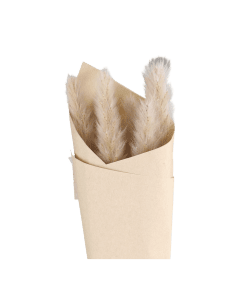 Fleur dried Pampas Grass