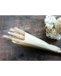 Fleur dried Pampas Grass