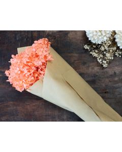 Fleur dried Hydrangea Flower