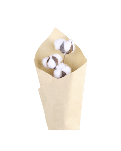 Fleur dried Cotton Flowers w. 10 cotton balls in brown paper