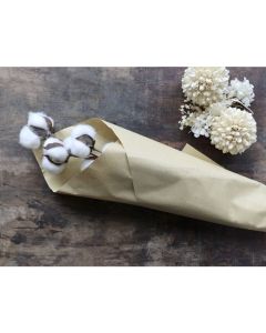 Fleur dried Cotton Flowers w. 10 cotton balls in brown paper