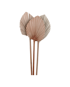 Fleur Dried Palm Leaf 