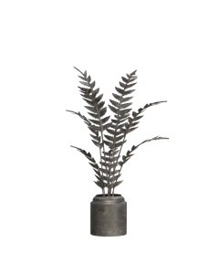 Plant w. pot for deco