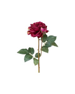 Fleur Rose