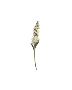Fleur Delphinium