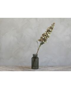 Fleur Delphinium