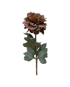 Fleur Peony