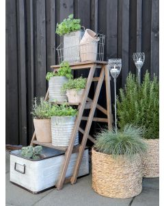 Multi Tiered Plant Stand