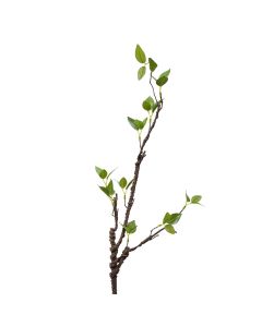 Decoration branch 9x6x78 cm - pcs