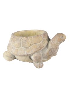 Flowerpot turtle Ø 22x16x10 cm - pcs