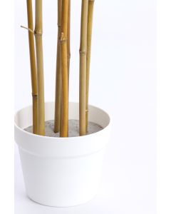 Potted ornament 70x60x90 cm BAMBOO natural+cream