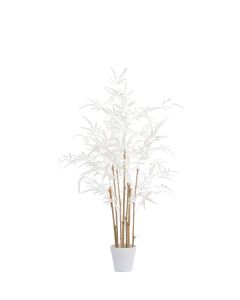 Potted ornament 70x60x90 cm BAMBOO natural+cream