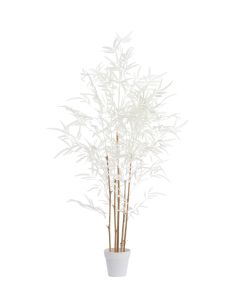 Potted ornament 70x60x120 cm BAMBOO natural+cream