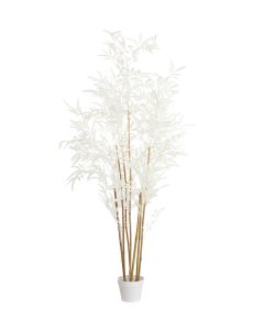 Potted ornament 70x60x150 cm BAMBOO natural+cream