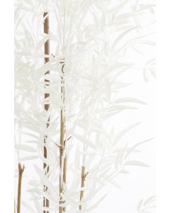 Potted ornament 70x60x180 cm BAMBOO natural+cream