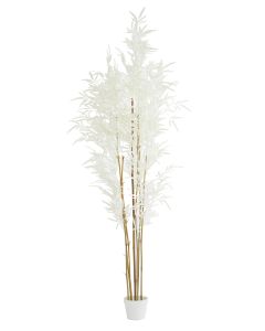 Potted ornament 70x60x180 cm BAMBOO natural+cream