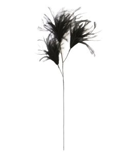 Ornament 3 feathers 78 cm FEATHER black
