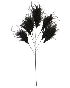 Ornament 8 feathers 95 cm FEATHER black