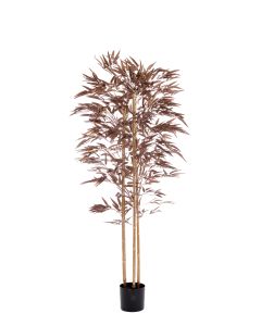 Potted ornament 180x100x180 cm BAMBOO metallic dark bronze