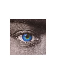 zilver Eye Indoor Painting Photoprint 50x50cm