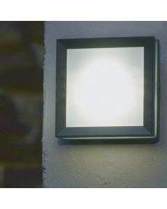 Egil 1 Light Wall/Ceiling Lantern 