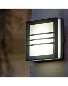 Egil 1 Light Wall/Ceiling Lantern 