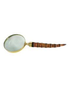 Gold magnifying glass brown