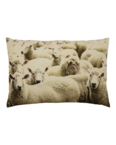 canvas cushion sheep 40x60cm