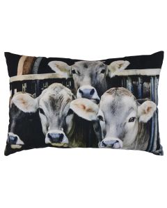 canvas cushion calf in stable 40x60cm