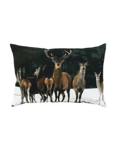 Big cushion canvas flock cerf 40x60cm