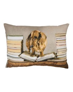 canvas cushion humour dachshund 35x50cm