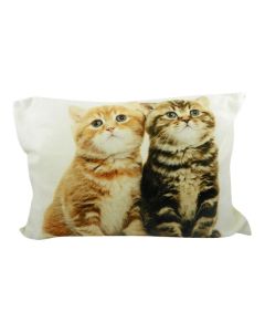 Canvas cushion kittens british shorthair 2 35x50cm