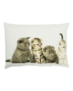 Canvas cushion kittens british shorthair 4 35x50cm