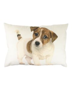canvas cushion puppy jack russel 35x50cm