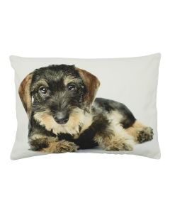Canvas cushion dachshund shaggy laying 35x50cm