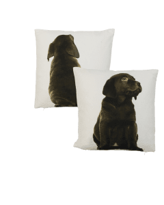 canvas cushion labrador brown double-sided 33x33cm