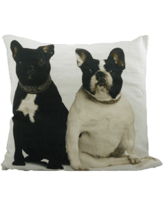 Canvas cushion french bulldogs 50x50cm