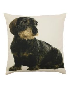 canvas cushion dachshund sitting 50x50cm