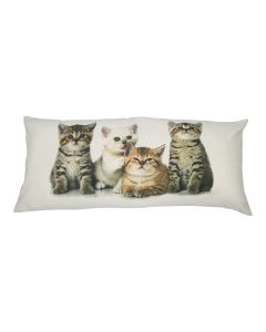 canvas cushion xxl kittens licking 40x90cm