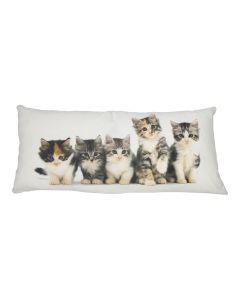 canvas cushion xxl kittens 40x90cm