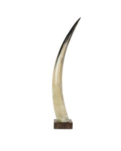 Horn on wood 65cm (bison bison)