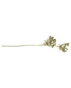 ornamental branch hogweed gold champagne 85cm